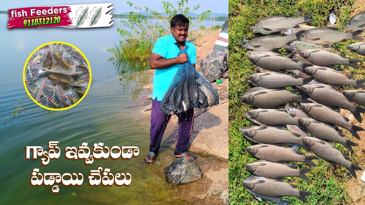 ఫిష్ ఫీడర్  తో గ్యాప్ లేకుండా పడ్డాయి చేపలు  | మీరు కూడా చాలా ఈజిగా పట్టుకోవచ్చు #fish#fishing