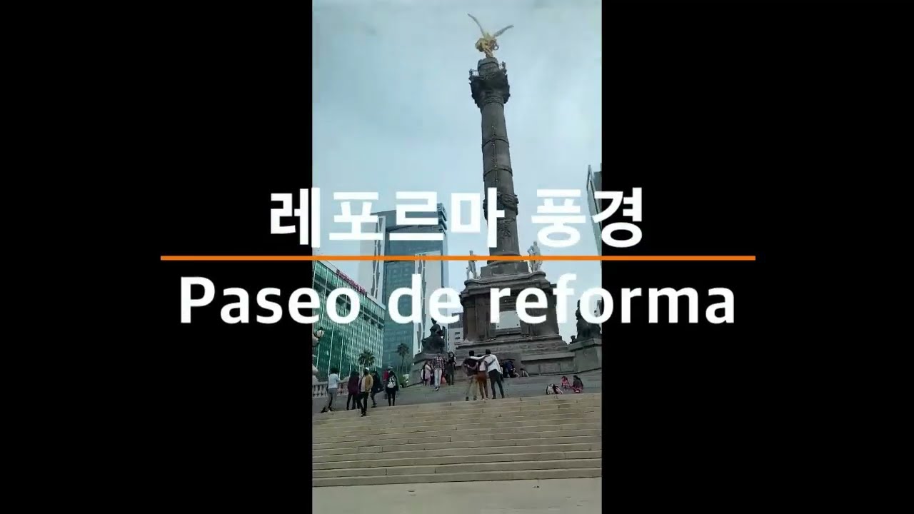 #멕시코  #paseodelarefprma  #레포르마거리 zona rosa #mexicocity  #cdmx