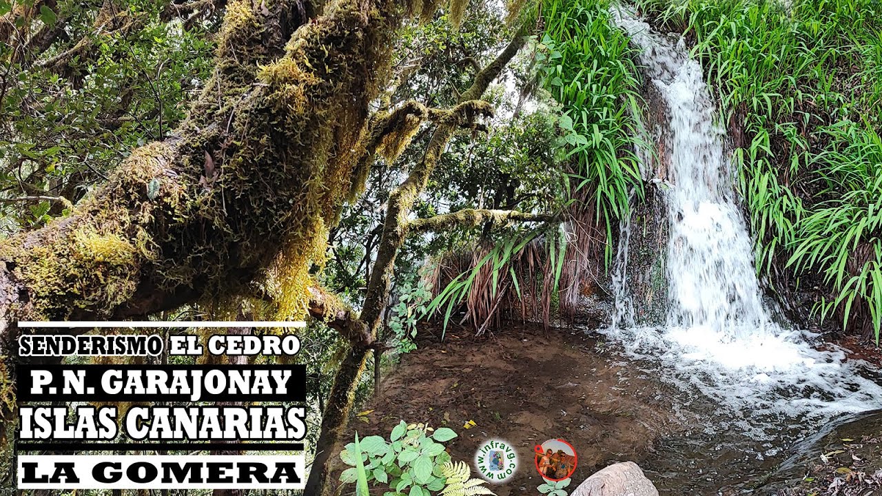 Parque Nacional de Garajonay, Sendero circular completo