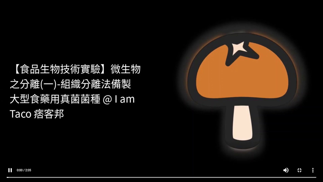 【食品生物技術實驗】微生物之分離（一）-組織分離法備製大型食藥用粉碎菌種