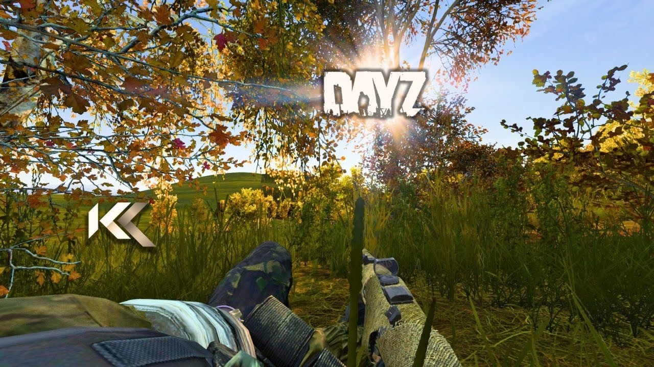 Ep 2 | SOBREVIVIENDO ante cualquier PELIGRO en DayZ