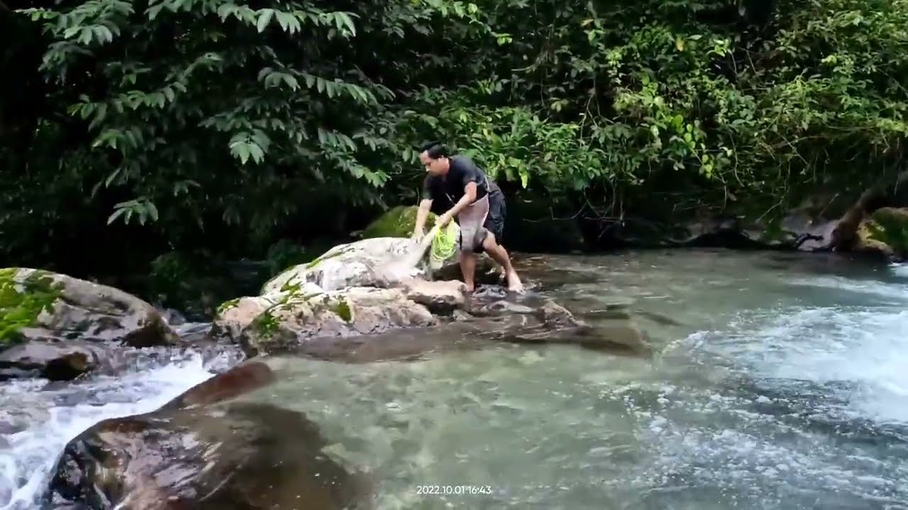 cast net fishing, northeast india, traditional fishing