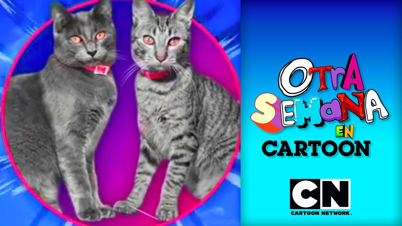 Cartoon Network | ¡Otra semana en Cartoon! | Episodio 8| 2015