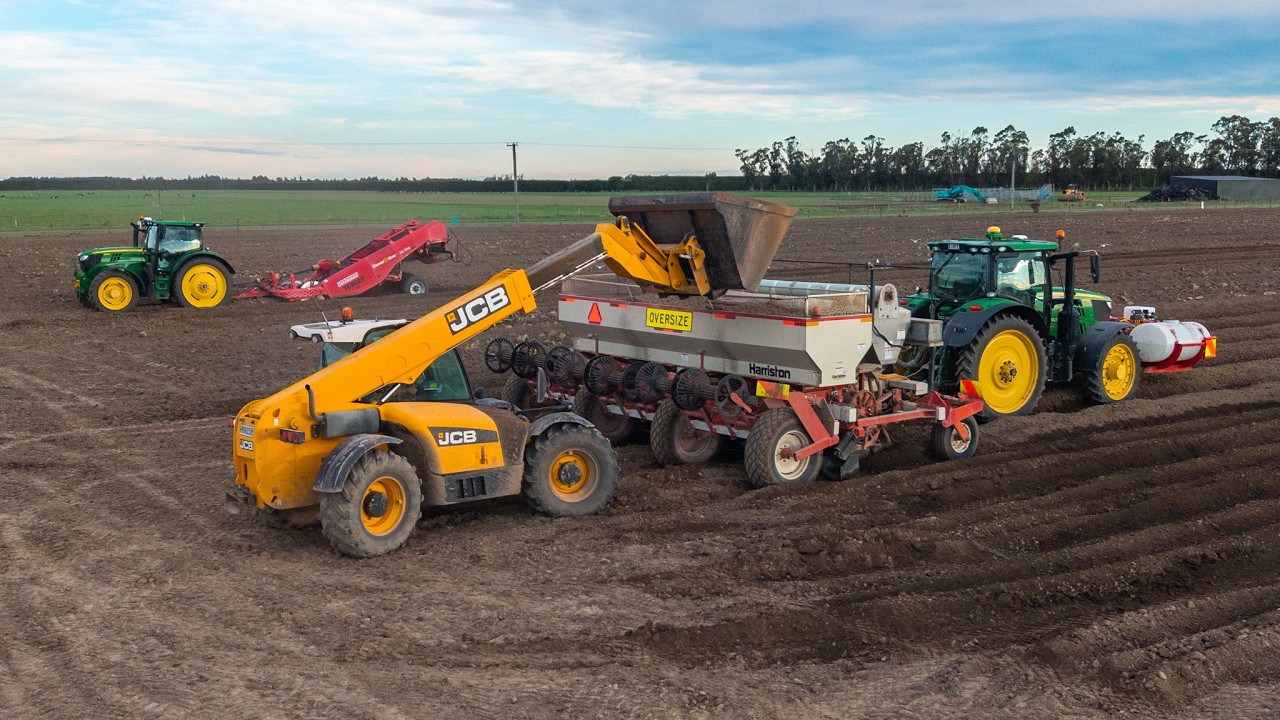 XXL New Zealand Potato Planting