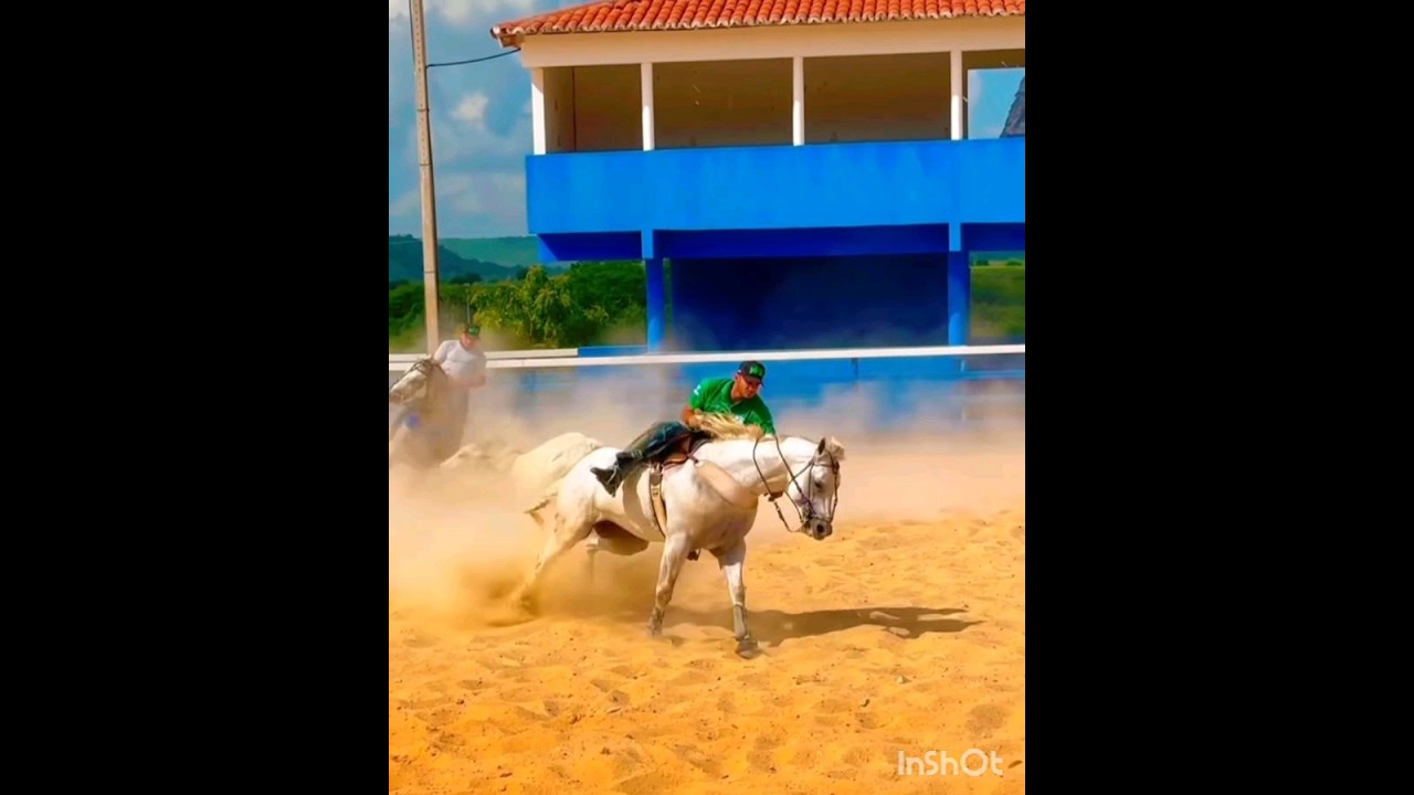 DHEOVANE ALMEIDA JÁ NOS TREINOS HARAS WS