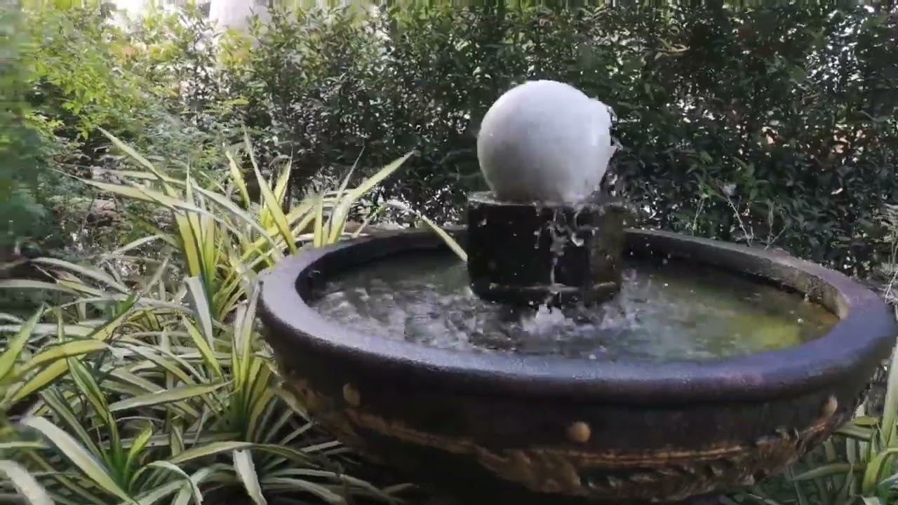 Natpongm Meesoongm - NgMgoOne