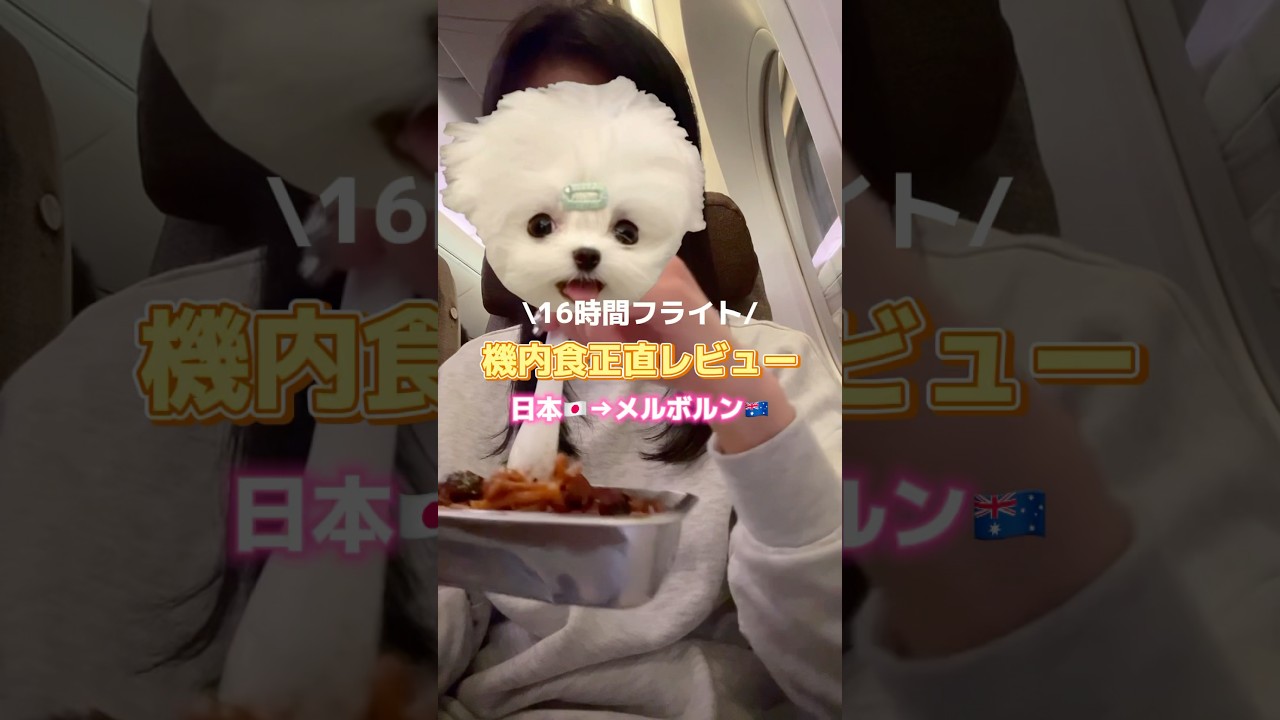 やっぱり日本食がナンバーワン✨日本🇯🇵&rarr;オーストラリア🇦🇺の機内食レポ🍴#オーストラリア #海外生活 #留学 #vlog #フライト #機内食 #正直レビュー #航空
