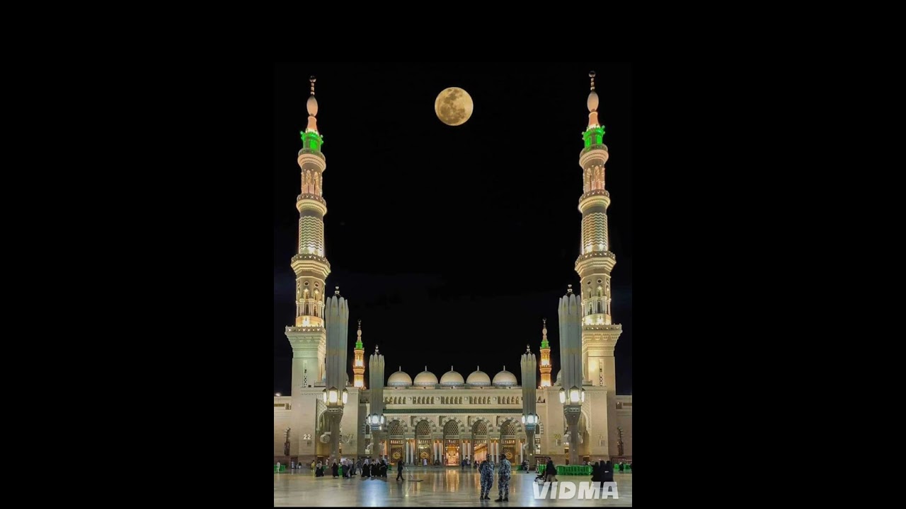 ١٥ - شرح كتاب منهج السالكين الدرس الخامس عشر. 