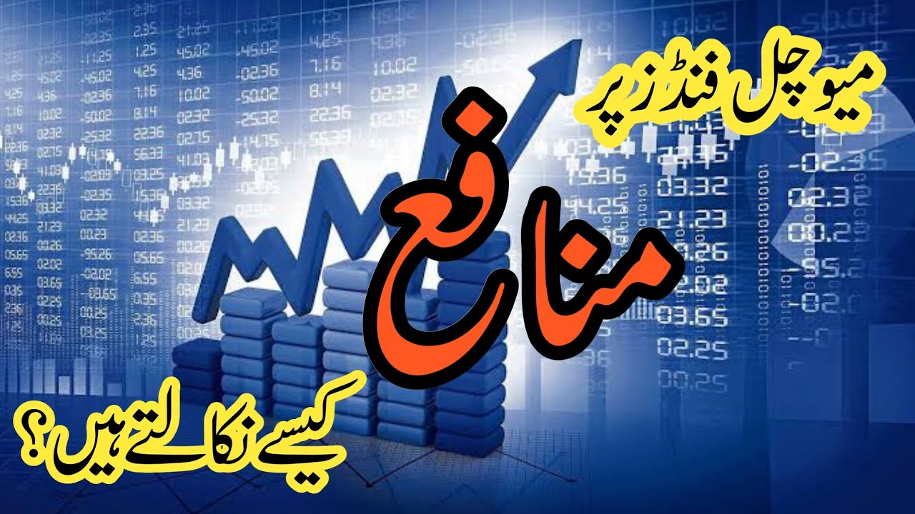 How to Calculate Profit on Mutual Funds: A Step-by-Step Guide | Profit on Mutual Funds.