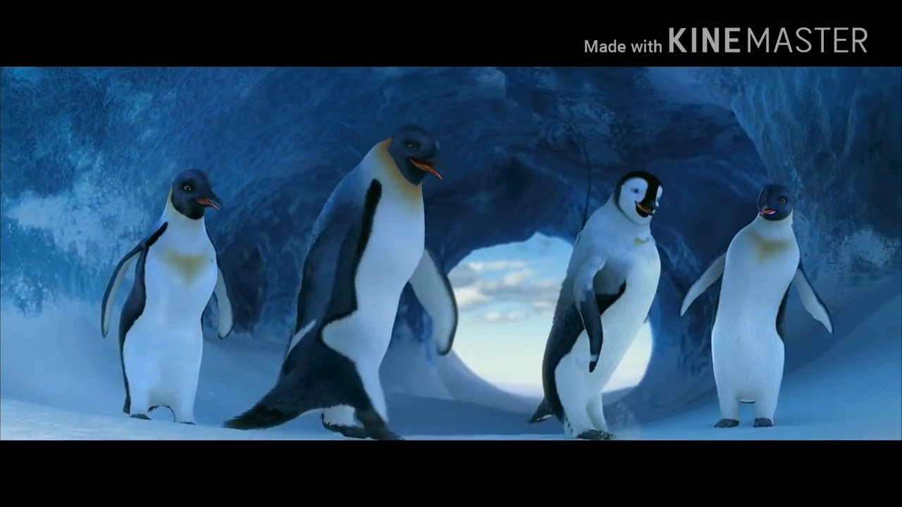El baile del pinguino🐧🐧
