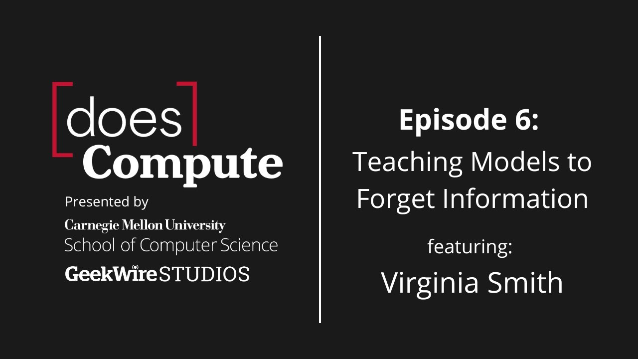 Teaching Models to Forget Information