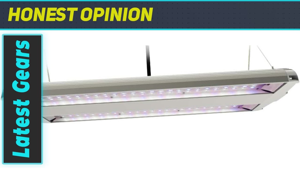 Feit Electric Full Spectrum High Bay 80 Watt LED Grow Light The Best Grow Light for Your