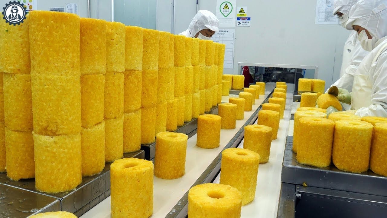 Harvesting And Processing Pineapple juice | The Food Factory