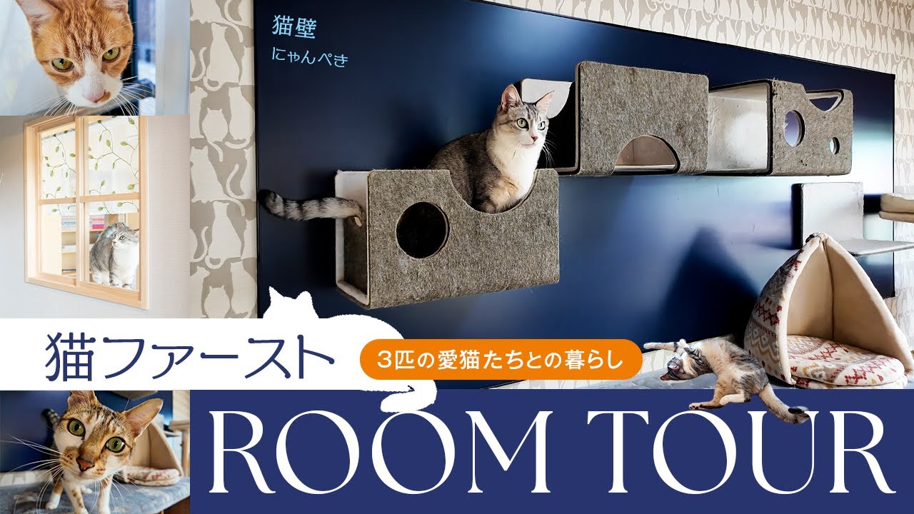 【猫と暮らす家】女性一級建築士が叶える私らしい暮らし #ROOMTOUR #福岡市