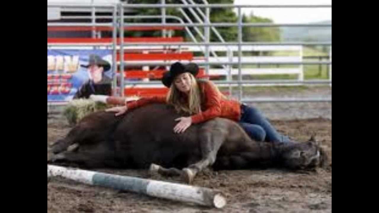 Heartland Amy and Spartan Never Find A Love Like This