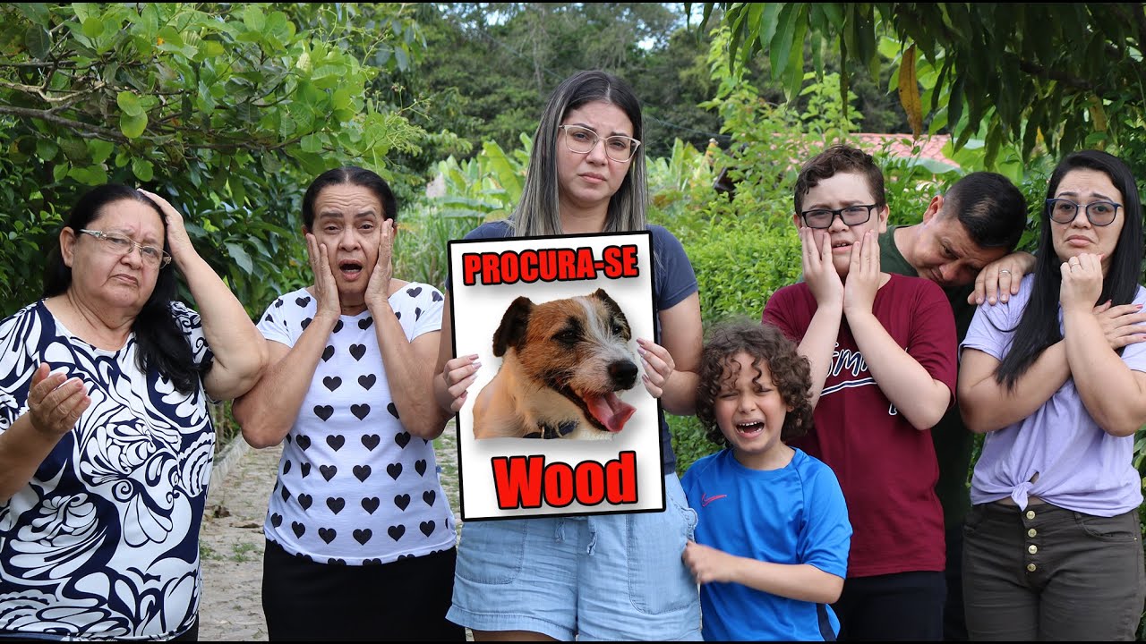 NOSSO CACHORRO FUGIU DE CASA