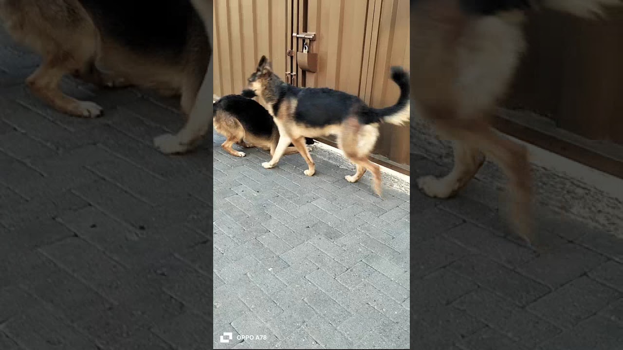 Always alert 