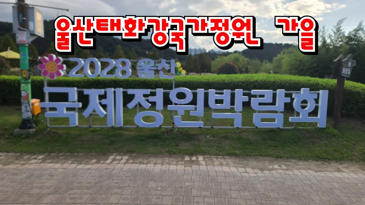 울산태화강 국가정원  가을 국화