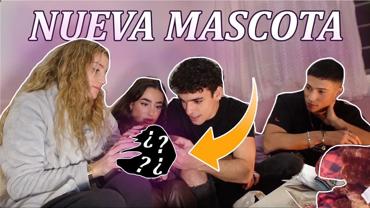 Nueva MASCOTA en la FAMILIA | IBELKY, lolita, Sofia, trece.