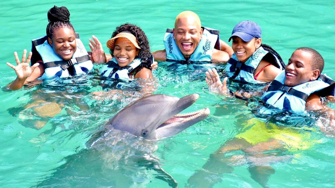 WE WENT SWIMMING WITH DOLPHINS | QUITE PERRY