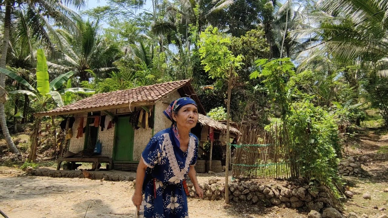 Masya Allah!! Berani Banget Nenek ini Tinggal Sendiri Di Rumahnya Bawah Gunung Batu