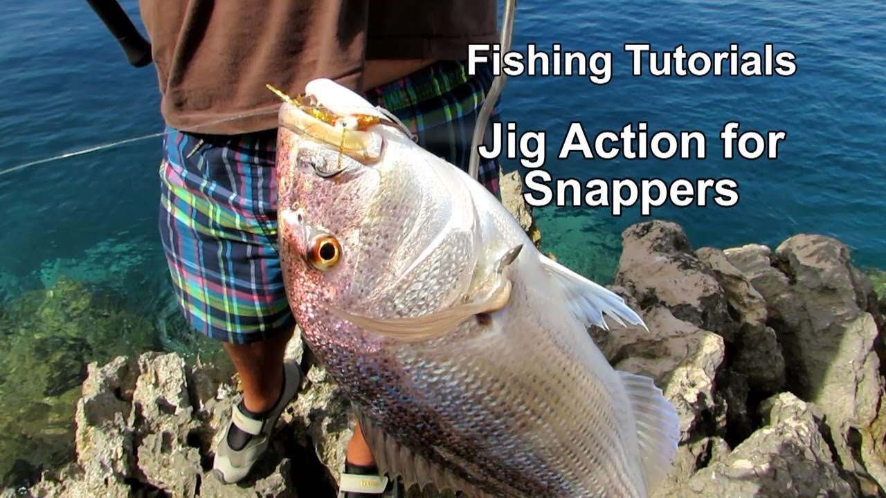 SJ: The Jig Action for Snappers in the summer! Feat: ZENAQ Muthos Accura 100H