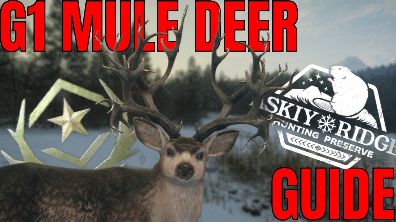 This Is How YOU Can SPAWN A GREAT ONE Mule Deer