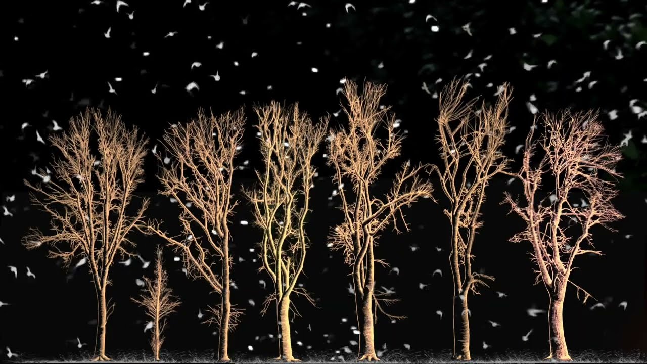 John Metcalfe - Night (Official Video)