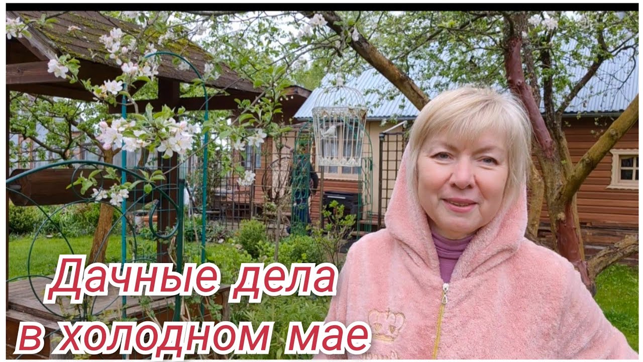 Дачные будни в холодном мае. ПОДВЯЗКА ТОМАТОВ  по новому.Щи из щавеля Капуста пикантная