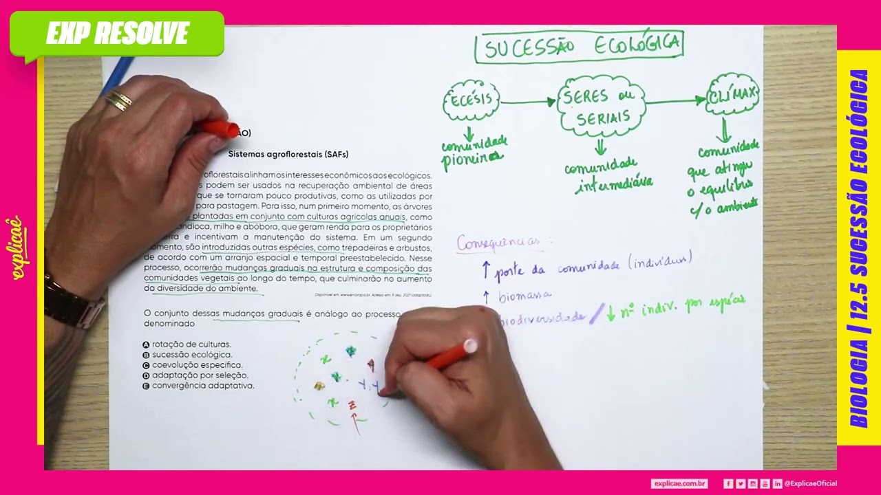 SISTEMAS AGROFLORESTAIS (SAFA)OS SISTEMAS AGROFLORESTAIS ALINHAM OS   (…) | SUCESSÃO ECOLÓGICA