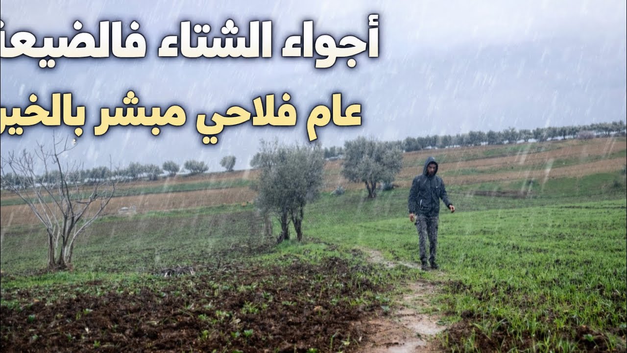 أجواء الشتاء فالضيعة 🌧️🌱 تبارك الله عام فلاحي مزيان وبداية خير