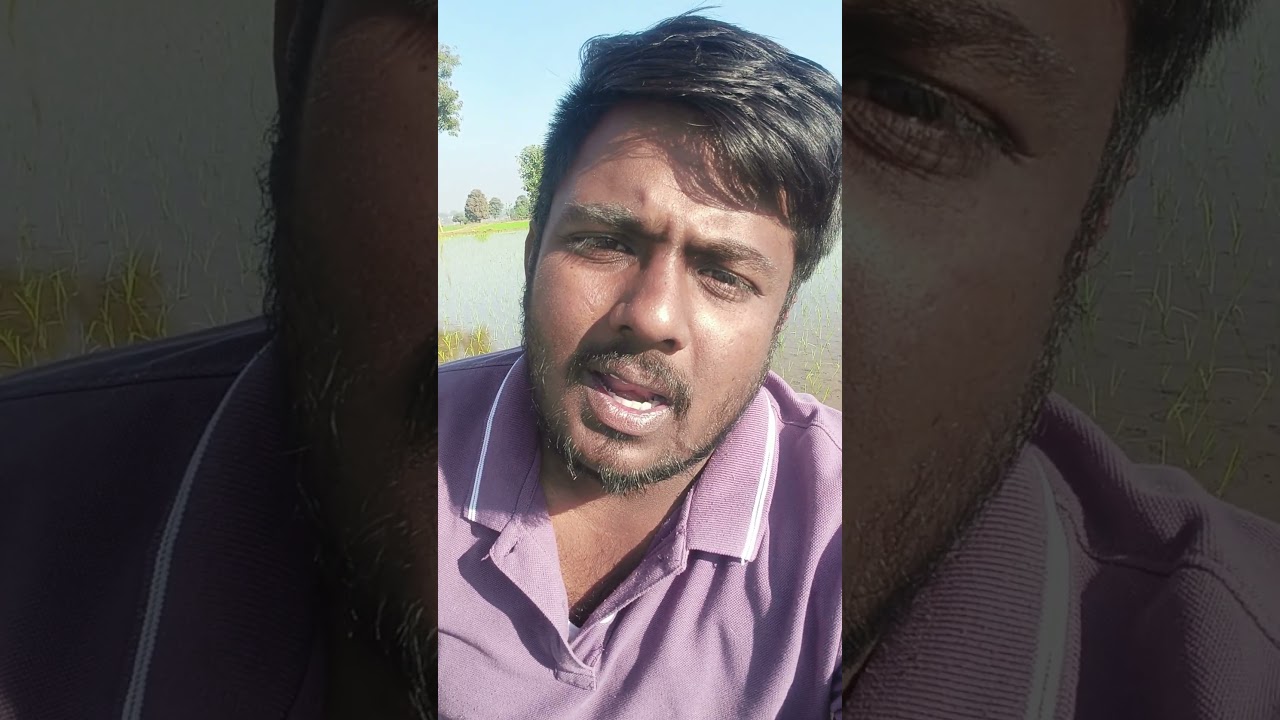 ఇది ప్రజాపాలన కాదు..పత్రాల పాలన. 