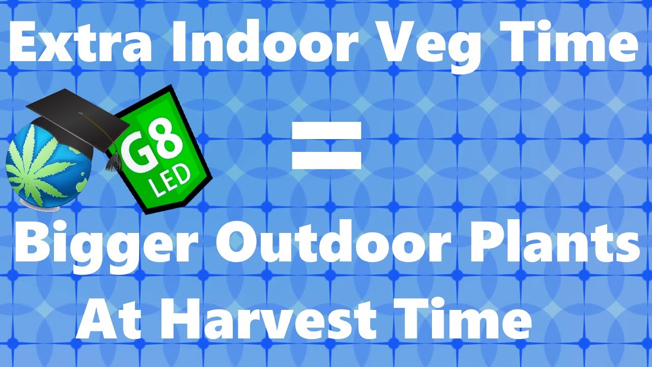 When To Start Outdoor Plants Inside & Move Them OUT + G8 'Versus' Journal