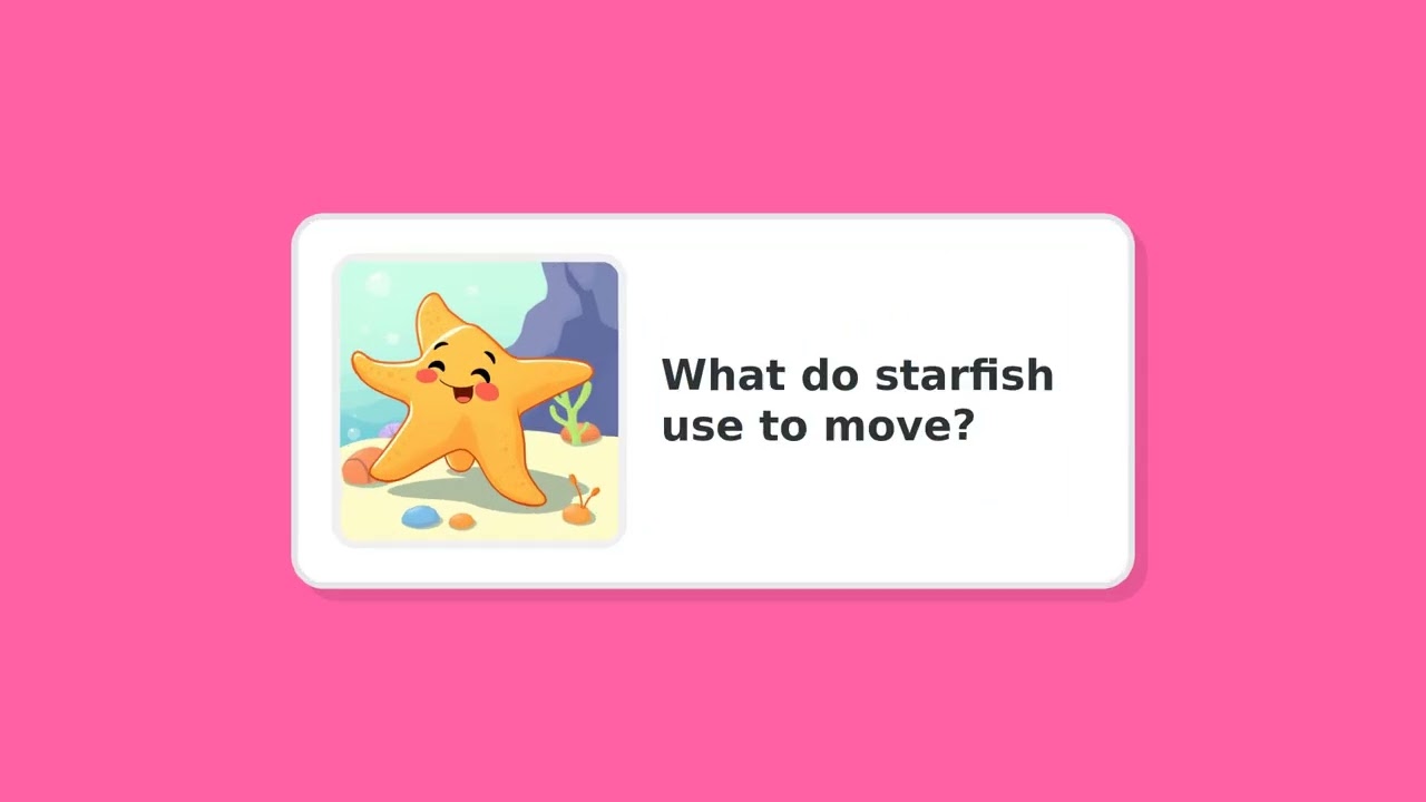 Fun Kids FASCINATING UNDERWATER CREATURES Quiz for Kids! 🦁