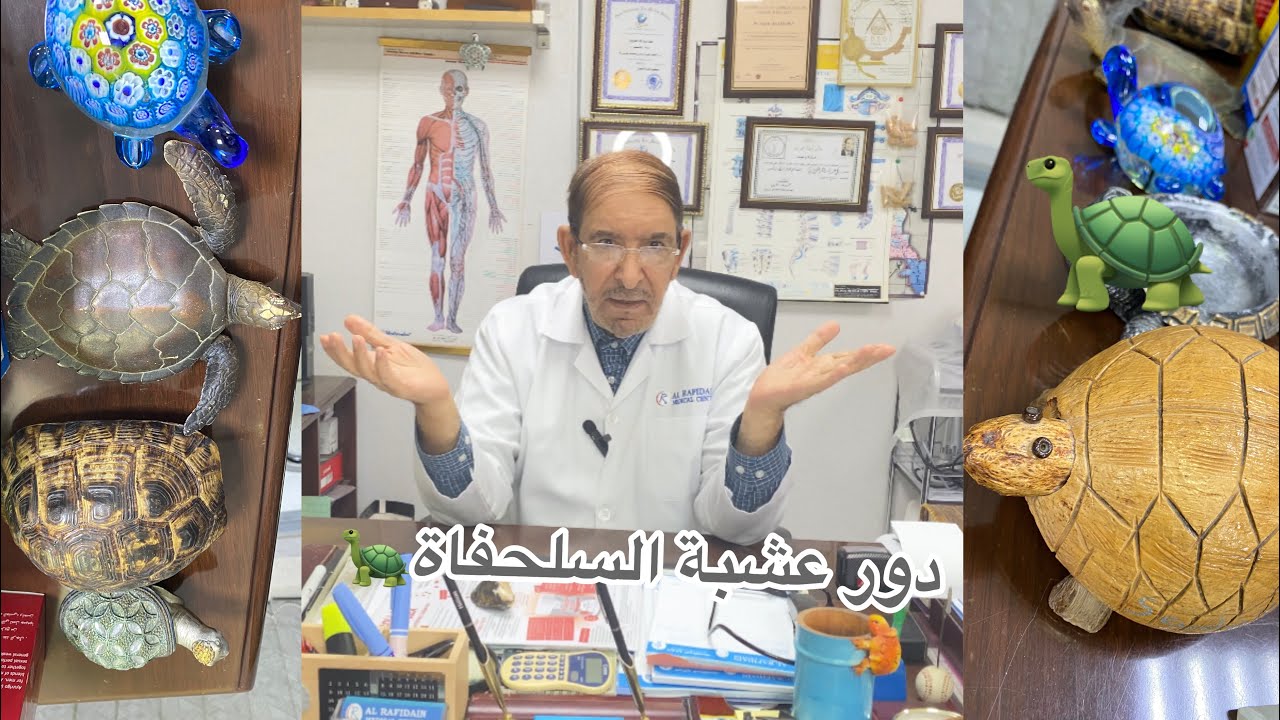 دور عشبة السلحفاة 🐢 في ترميم  غضاريف المفاصل (د.نجم العزاوي )