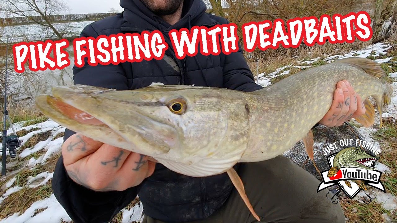 WINTER PIKE FISHING UK 🇬🇧 DEAD BAITING
