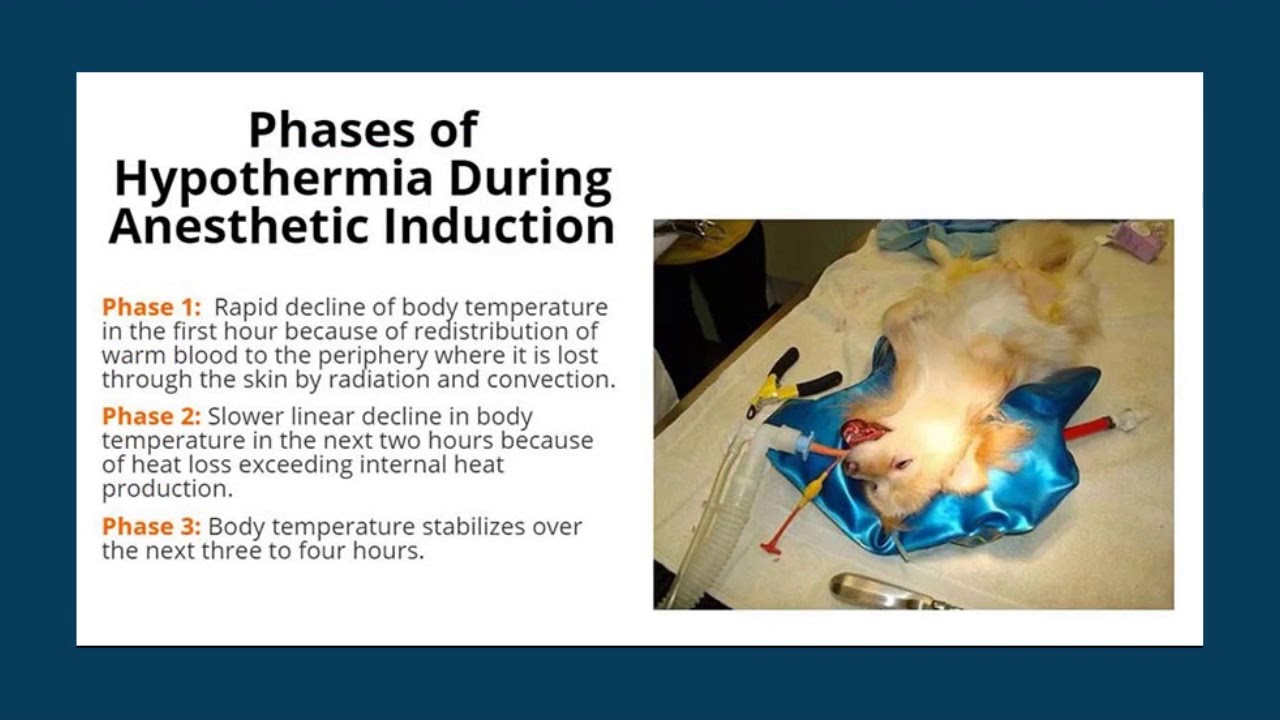 The Science of Patient Warming
