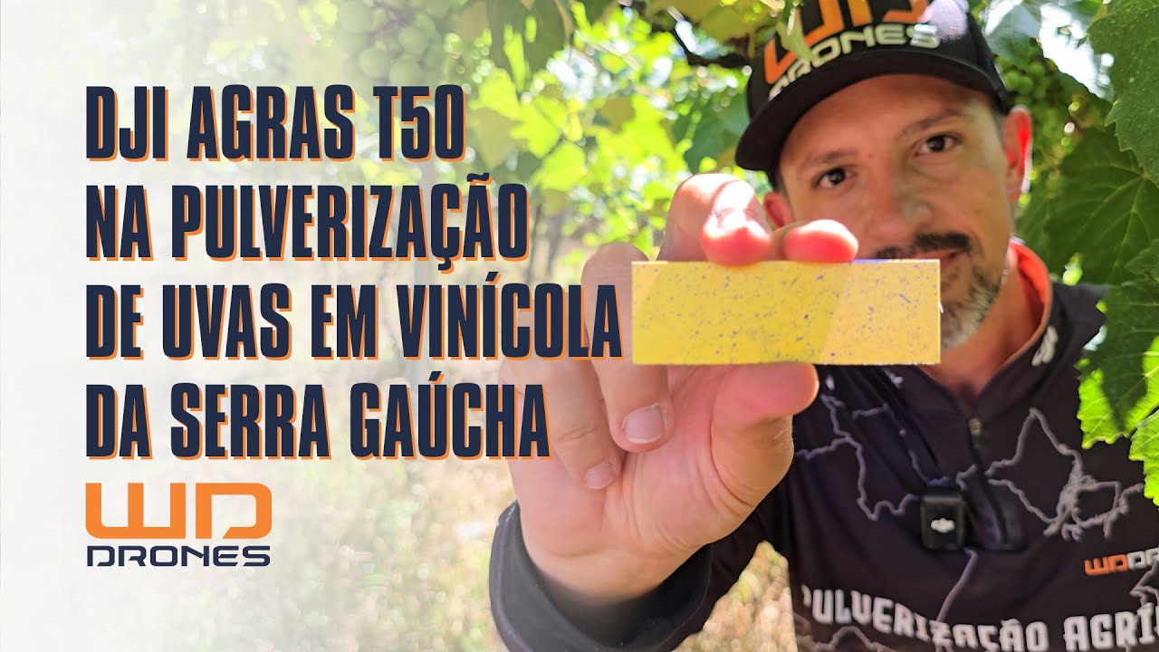 Pulverizando parreiras de uva com drone agr&iacute;cola DJI T50 e seus 4 bicos na Serra Ga&uacute;cha