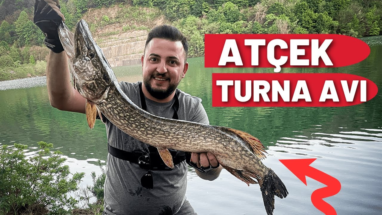 Atçek Turna Avı / Turnalar Kıyıyı Bastı !