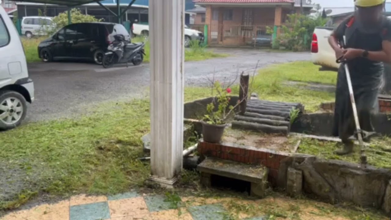cut grass cutting affordable part 2