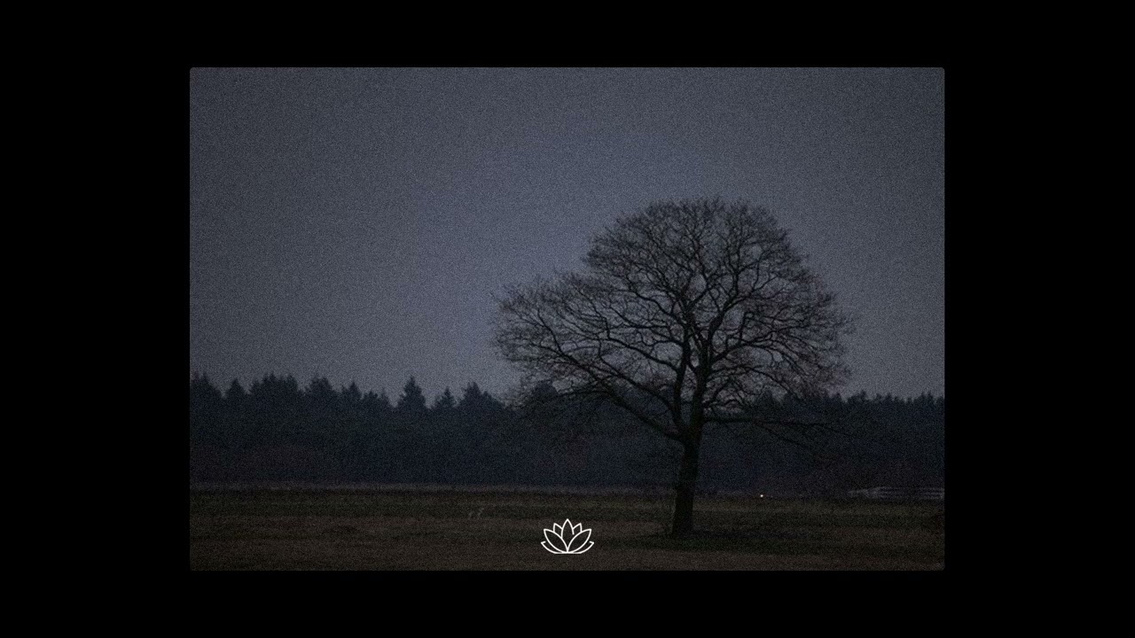 Lizzy McAlpine x Acoustic Guitar Type Beat - “Scorpio”