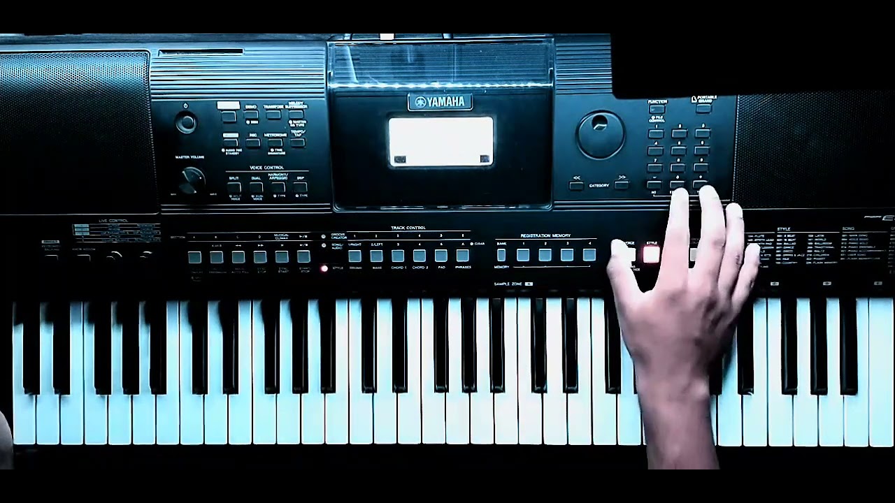 Rammstein - Zwitter Keyboard Cover