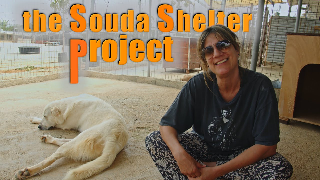 Kreetan Pelastetut Koirat | The Souda Shelter Project