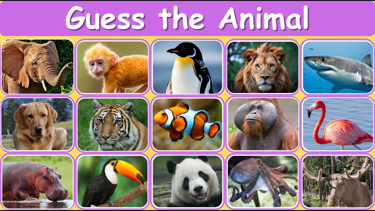 Guess the Animal 🐾 | Fun Animal Clues Game for Kids