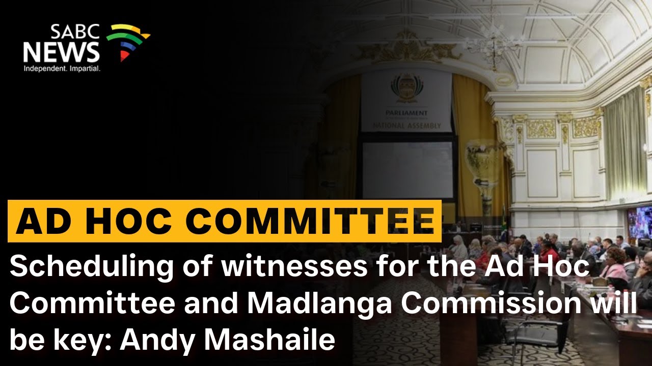 Scheduling of witnesses for the Ad Hoc Committee and Madlanga Commission will be key: Andy Mashaile