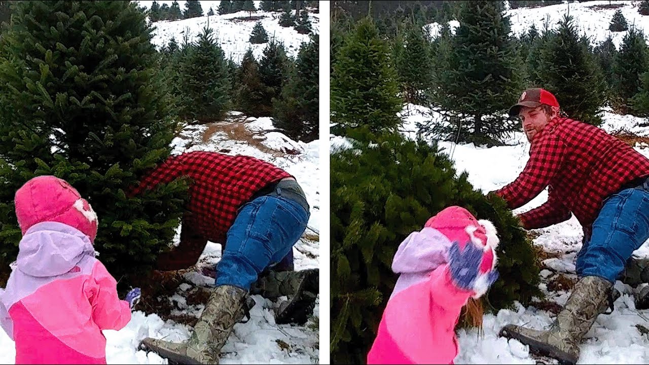 That Could Be Bad! ❄️ Funny Family Christmas Fails