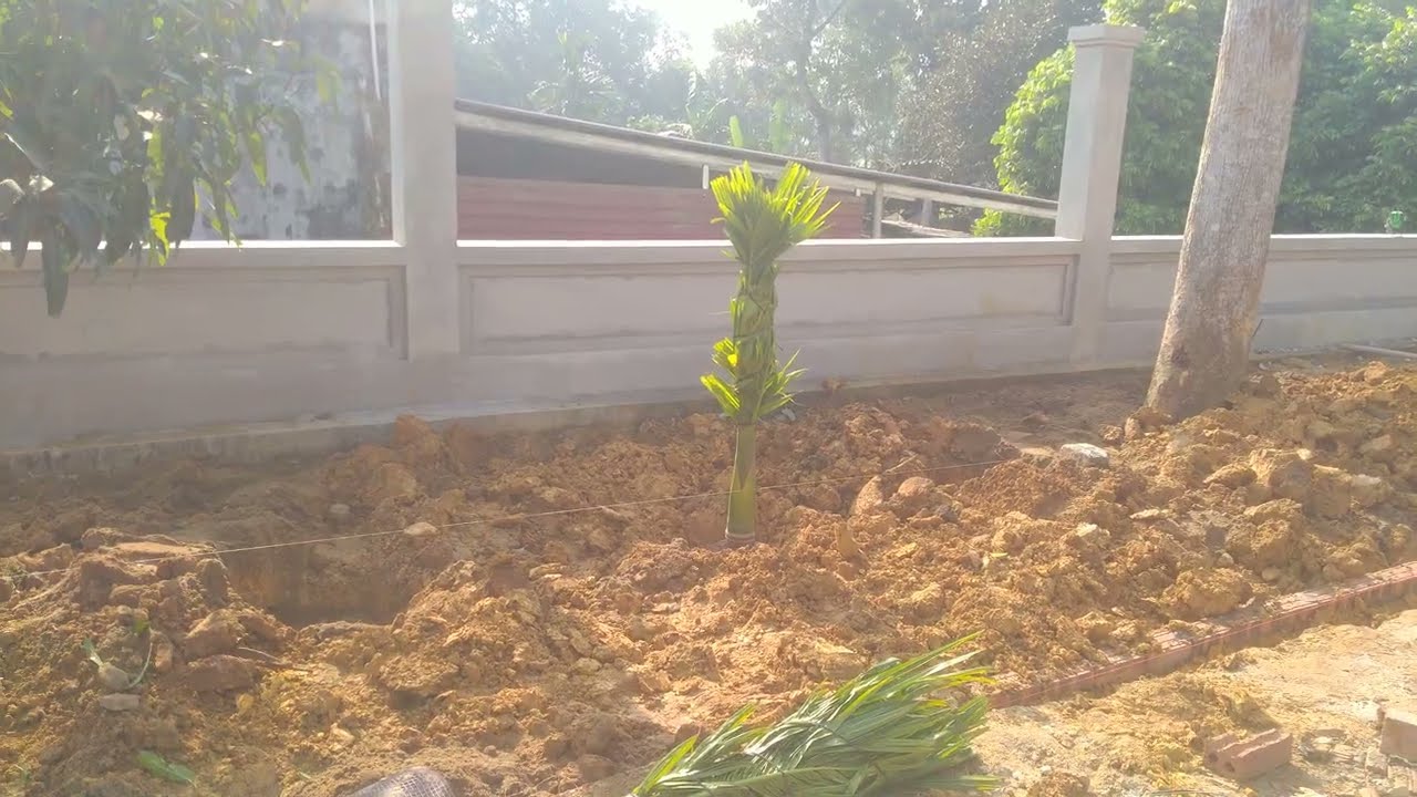 Hồ cá Koi sân vườn 08.222.878.33