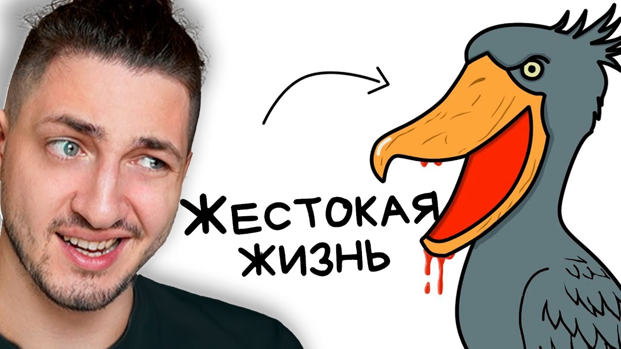 Ты - Китоглав (И ЭТО ПОЛНЫЙ ОТСТОЙ) - реакция Градуса
