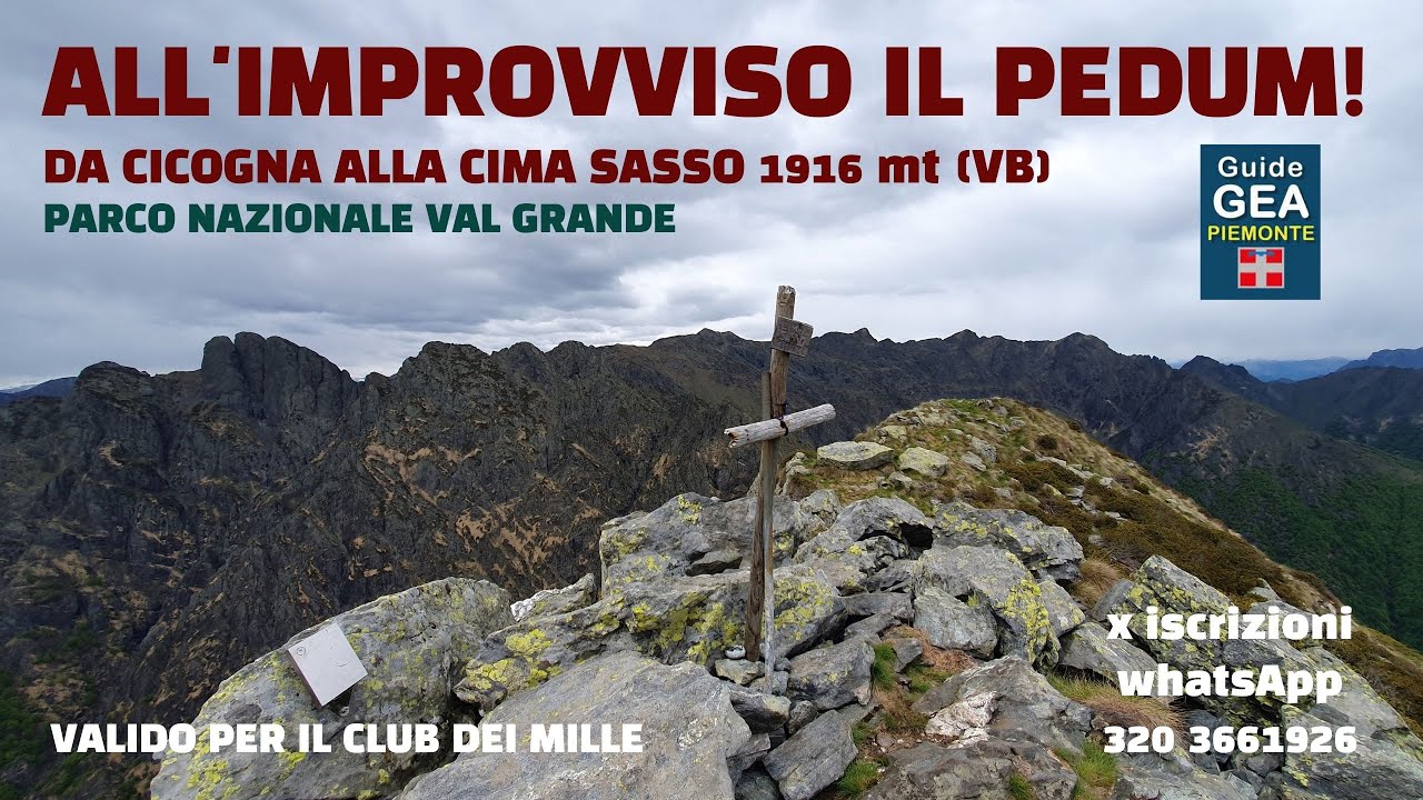 All'improvviso il Pedum! Cima Sasso da Cicogna VB