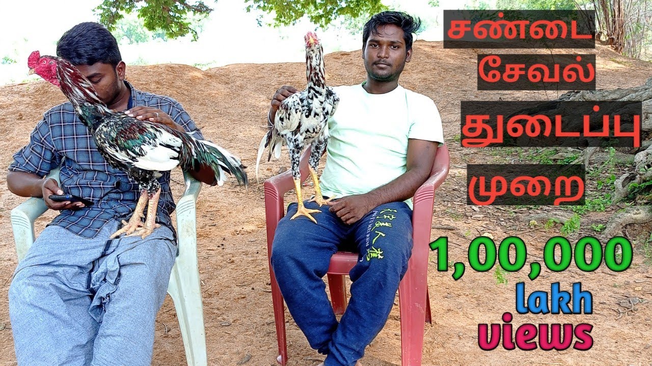 sandai seval payirchi murai...